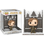 Harry Potter - Remis Lupin with The Shrieking Shack Hogsmeade Diorama Deluxe Pop! Vinyl Figure